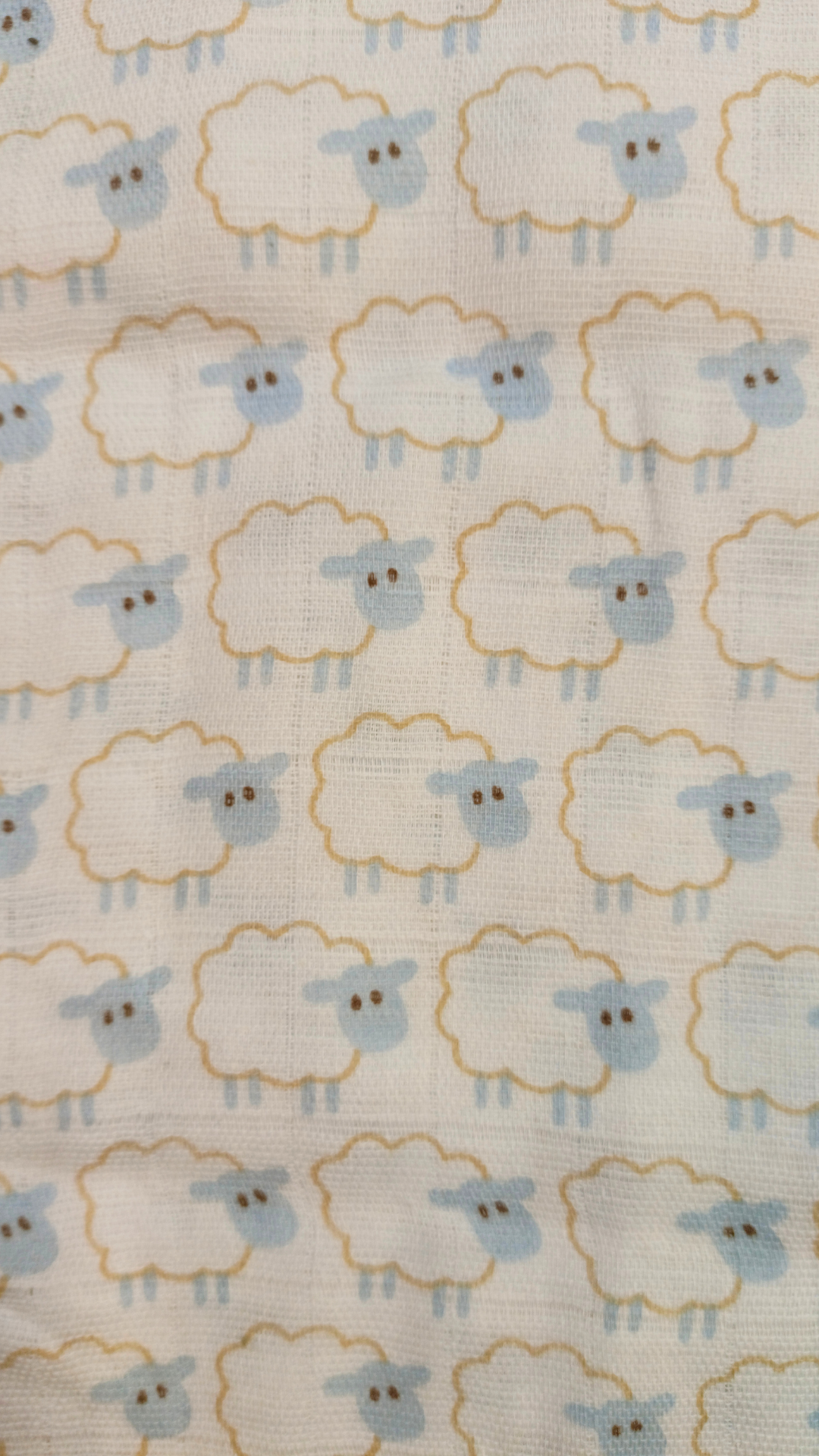 2PK Swaddle Blanket - FS-519