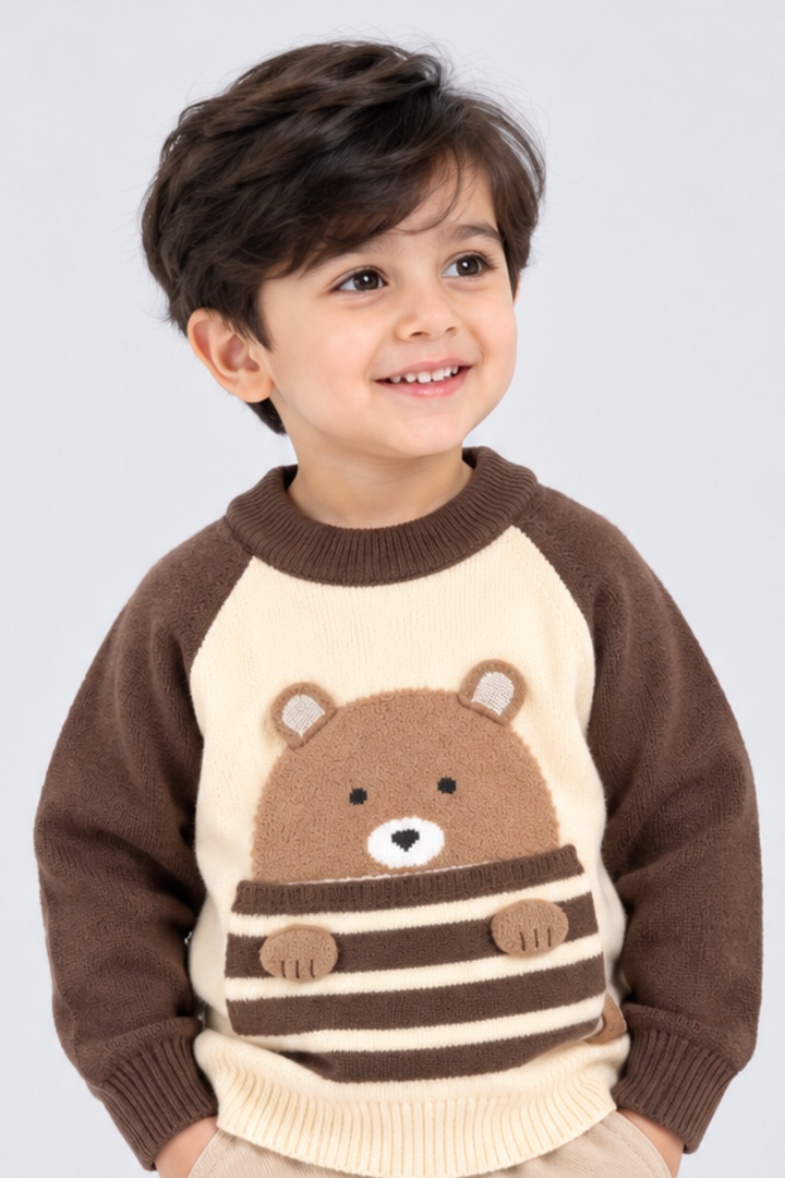 Chocolate Brown & Cream Cocoa Bear Colorblock Wool Sweater - FB-4353